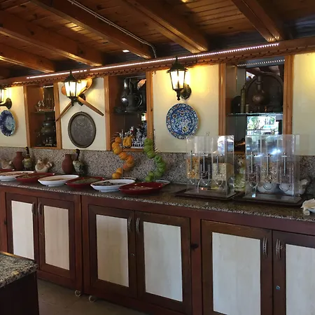 Asur Apart & Villa Asur Hotel Dalyan