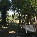Asur & Asur Dalyan
