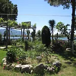Asur & Asur Dalyan